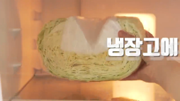 백년밥상_양배추편